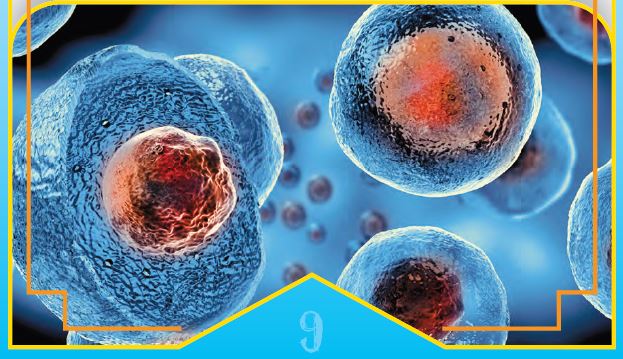 9° Corso - IL MONDO AFFASCINANTE, PROMETTENTE E PIENO DI SFIDE DELLE CELLULE STAMINALI